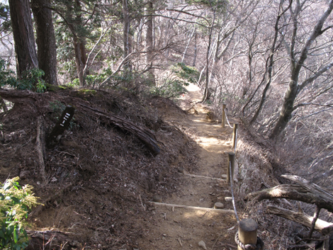 20190108hike (286)